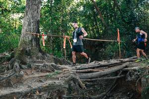 BIB: 
                            <button type="button" onclick="openModal(27751650)" class="btn btn-primary btn-sm float-right btn-popup" data-toggle="modal" data-target=".modal-high-quality">
                        <i class="fas fa-shopping-cart"></i> Add to Cart
                    </button>
                                            <button type="button" onclick="isThisMe(27751650, true)" class="btn btn-success btn-sm float-right btn-popup btn-isme hidden" data-toggle="tooltip" data-placement="bottom" title="นี่คือรูปของคุณใช่ไหม คลิกที่นี่เพื่อเอาเข้าอัลบั้ม">
                        <i class="fas fa-plus"></i> Add to album
                    </button>
                    <button type="button" onclick="isThisMe(27751650, false)" class="btn btn-warning btn-sm float-right btn-popup btn-isnotme hidden">
                        <i class="fas fa-ban"></i> Remove from album
                    </button>